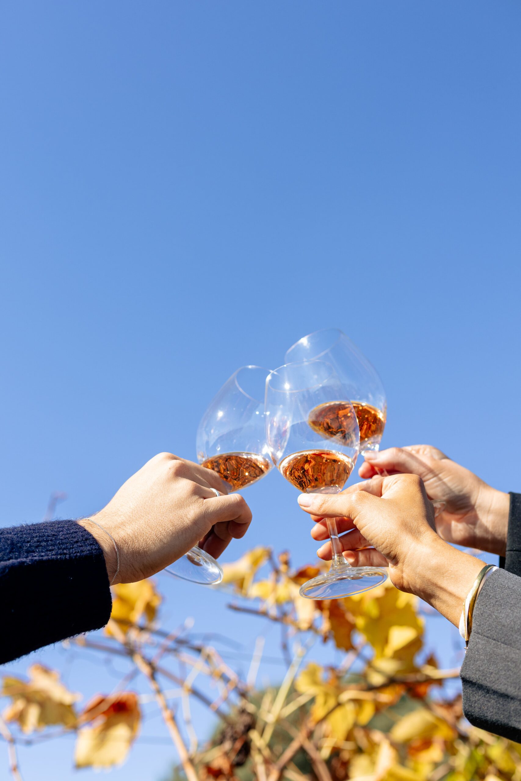 Corporate team celebrating with drinks